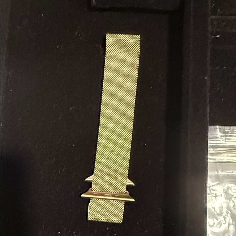 Apple Mesh band - fits 45 mm watch